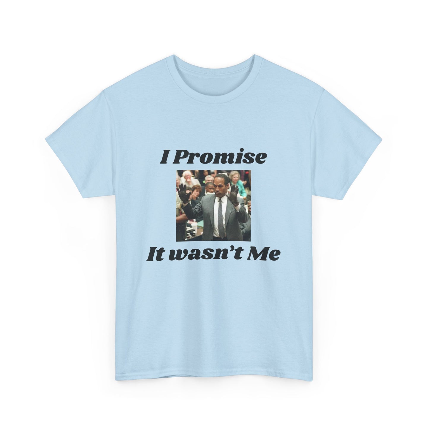 I Promise It Wasn't Me