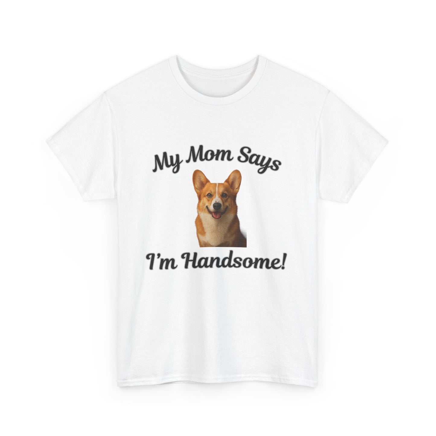 My Mom Says I'm Handsome!